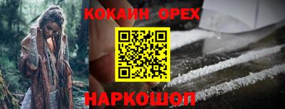 шишки Долгопрудный