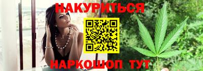 шишки Долгопрудный