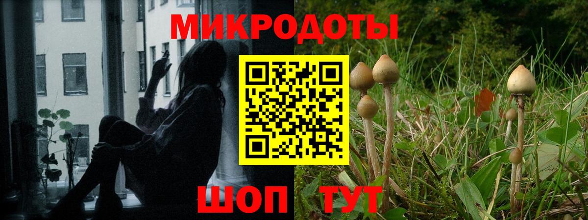 Псилоцибиновые грибы мухоморы  Псилоцибиновые грибы MAGIC MUSHROOMS  Всеволожск  Вход с VPN 
