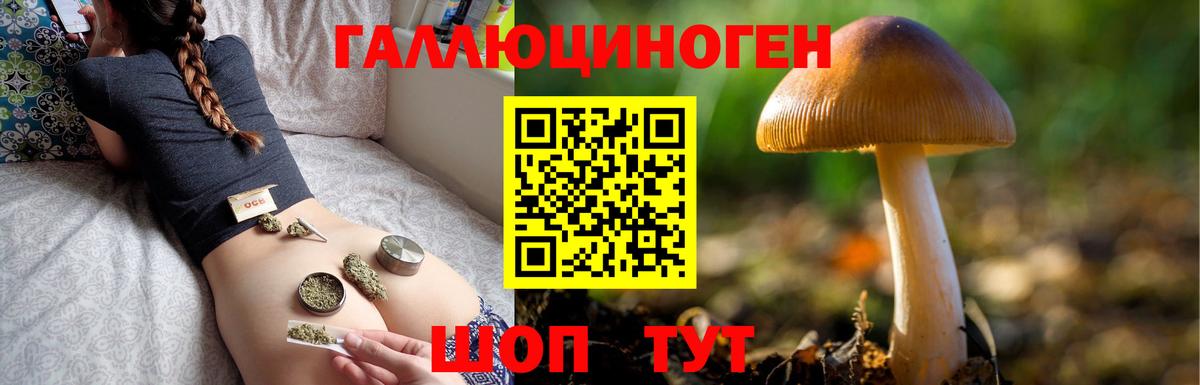 Псилоцибиновые грибы MAGIC MUSHROOMS Всеволожск